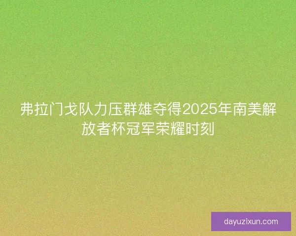 弗拉门戈队力压群雄夺得2025年南美解放者杯冠军荣耀时刻